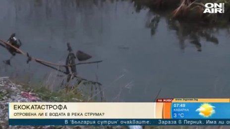 Умряла риба в р. Струма: Отровна ли е водата?