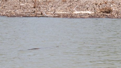 Криза с водата в Рио де Жанейро при температура 40°C