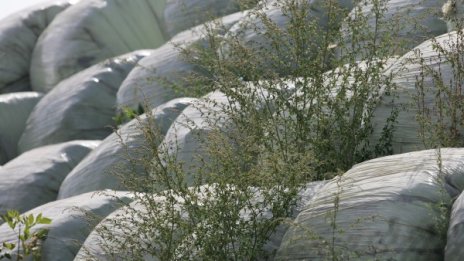 Зам.-министър е подписал за превоз на 25 000 т отпадъци от Италия