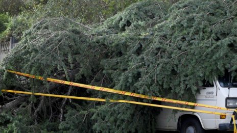 Бурите в Австралия потушиха повечето пожари