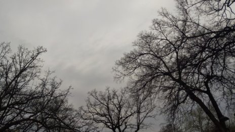 Времето днес: Слаб сняг, но от утре се затопля