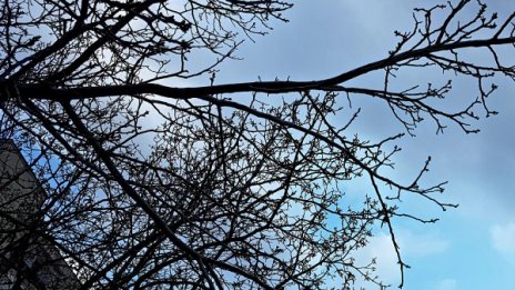 Стопля се, градусите скачат до 13, на места и по-високи 