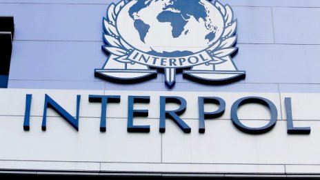 Интерпол спаси десетки жертви на трафик на хора на Балканите