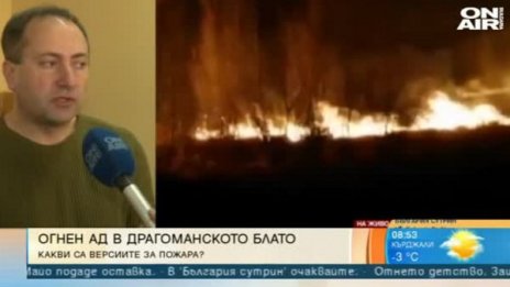 Кметът на Драгоман: Пожарът в блатото е умишлен 