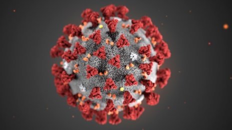 Над 2 хил. нови случая на коронавирус в Китай