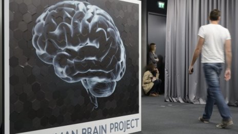 Учени откриха как се забавя стареенето на мозъка