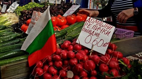 Цената на храната в България: Когато портмонето е празно, всичко е скъпо...