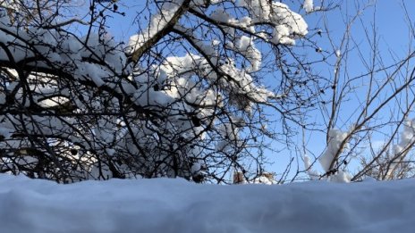 Времето днес: Слънцето ще бъде до обяд