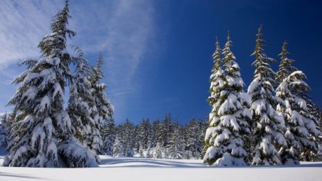 Зимата се завръща в четвъртък и петък със слаб сняг 