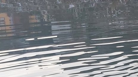 Няма опасност за питейна вода след замърсяването на Чая