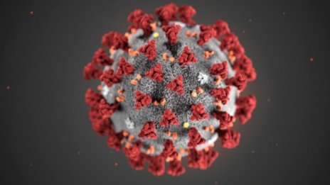 Румъния отрече: Няма потвърждение на заразен с коронавирус