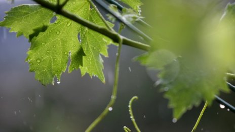 На места дъжд, температурите стигат 13° и 17°