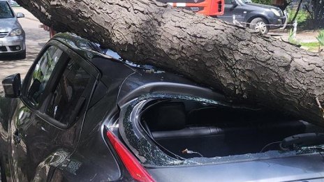 Паднали спирки, дървета и стълбове във Враца