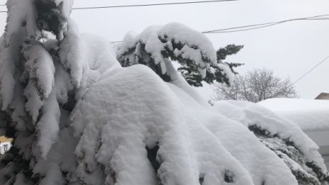 Жълт и оранжев код за сняг, чакат се между 10 и 20 сантиметра