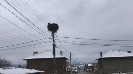 Няма да вали днес, затопля се – до 14 градуса