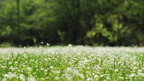 Валежите спират и започва затопляне