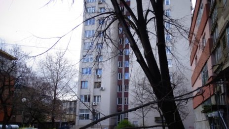 Силният вятър в Добрич нанесе щети