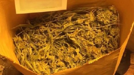 54-годишен си направи оранжерия за марихуана в апартамент 