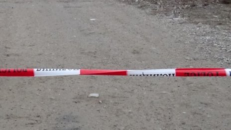 Обраха чантата на пенсионерка в собствената й къща 