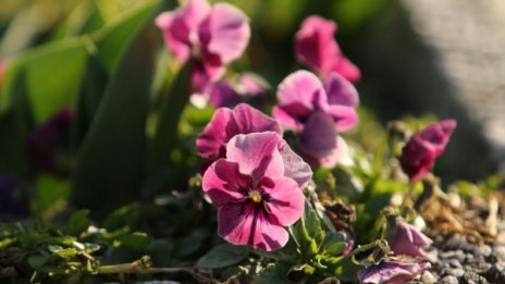 Валежите спират, температурите ще са до 14 градуса