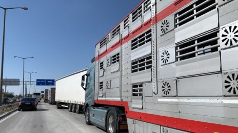 Отпадна забраната за влизане в България от Турция