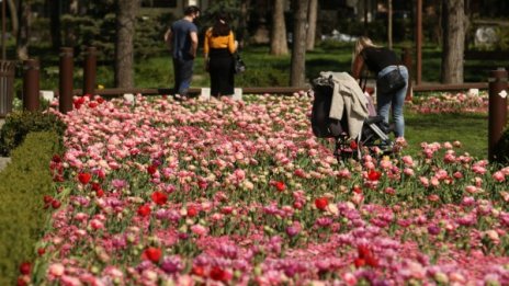 Слънчев и топъл ден, температурите до 27°С