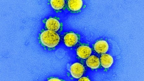 СЗО: Новият коронавирус е от естествен произход