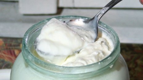 Кога и как от българското кисело мляко не стана антираков антибиотик