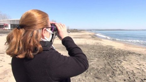Десетки мъртви птици са намерени на плаж в Бургас 