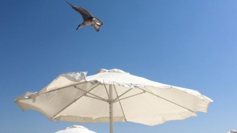 Климатолог: Хубаво, топло и дълго лято ни очаква