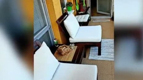 В условия на социална дистанция, преобрази балкона си