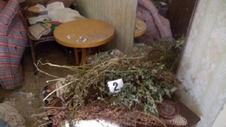 Дядо суши канабис в къщата си на село 