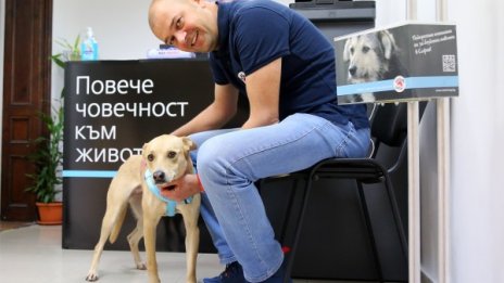 Има ли скок на случаите на насилие над животни при карантината?