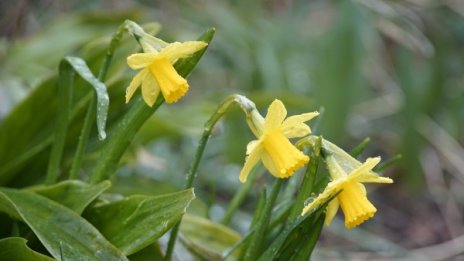 Седмицата започва със слънце и дъжд, градусите до 30&deg;C