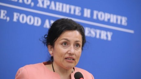 Тестът на Танева за коронавируса е отрицатален