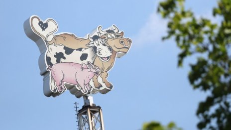 1029 работници са с коронавирус в германска кланица