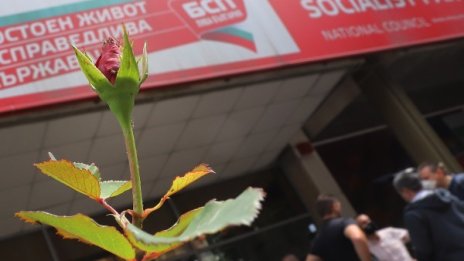 След пленума: Случай на коронавирус е открит в БСП 