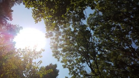 Предимно слънчево ще е през първия ден на юли, ще е до 36° 