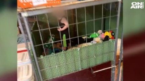 Ужас в САЩ: Спасиха бебе, държано в клетка със змии