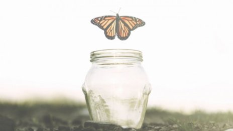 4 начина да се освободим от ненужното в живота си 