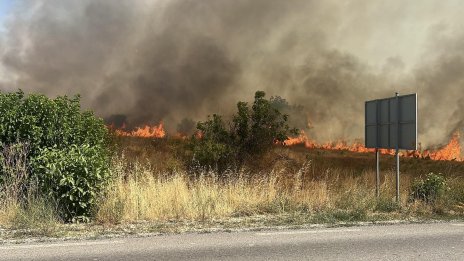 50 000 декара е засегнал пожарът в землищата на Тополовград и Свиленград