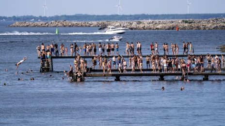 До какво доведе стратегията на Швеция срещу коронавируса? 