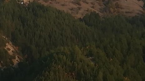 Откриха загубил се в гората край "Атолука" възрастен столичанин