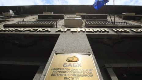 БАБХ разкри с какво са отровени кравите в р. Марица
