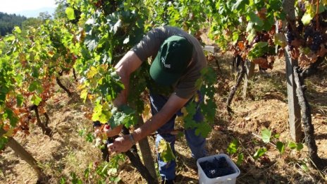 Безработните повече от устроените на работа, тенденция ли е?