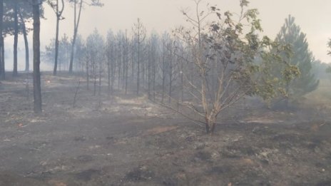 Риск от пожари в 13 области на страната 