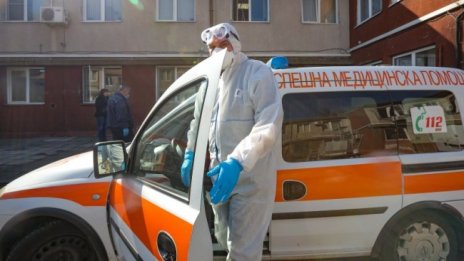 Куче нахапа зверски дете - 100 шева след три часа операция