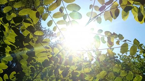 Слънце и жега в неделя, температурите стигат до 38°C