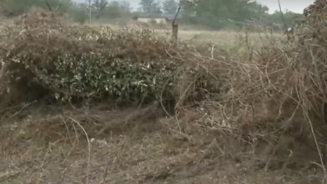 Премахват 10 т отровни пестициди в старозагорско село