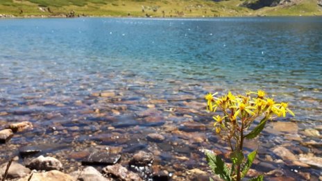 Слънчева събота с температури до 26 - 31 градуса